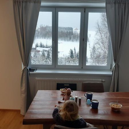 Apartman U Kunstatskeho Mlyna Orlicke Zahori المظهر الخارجي الصورة