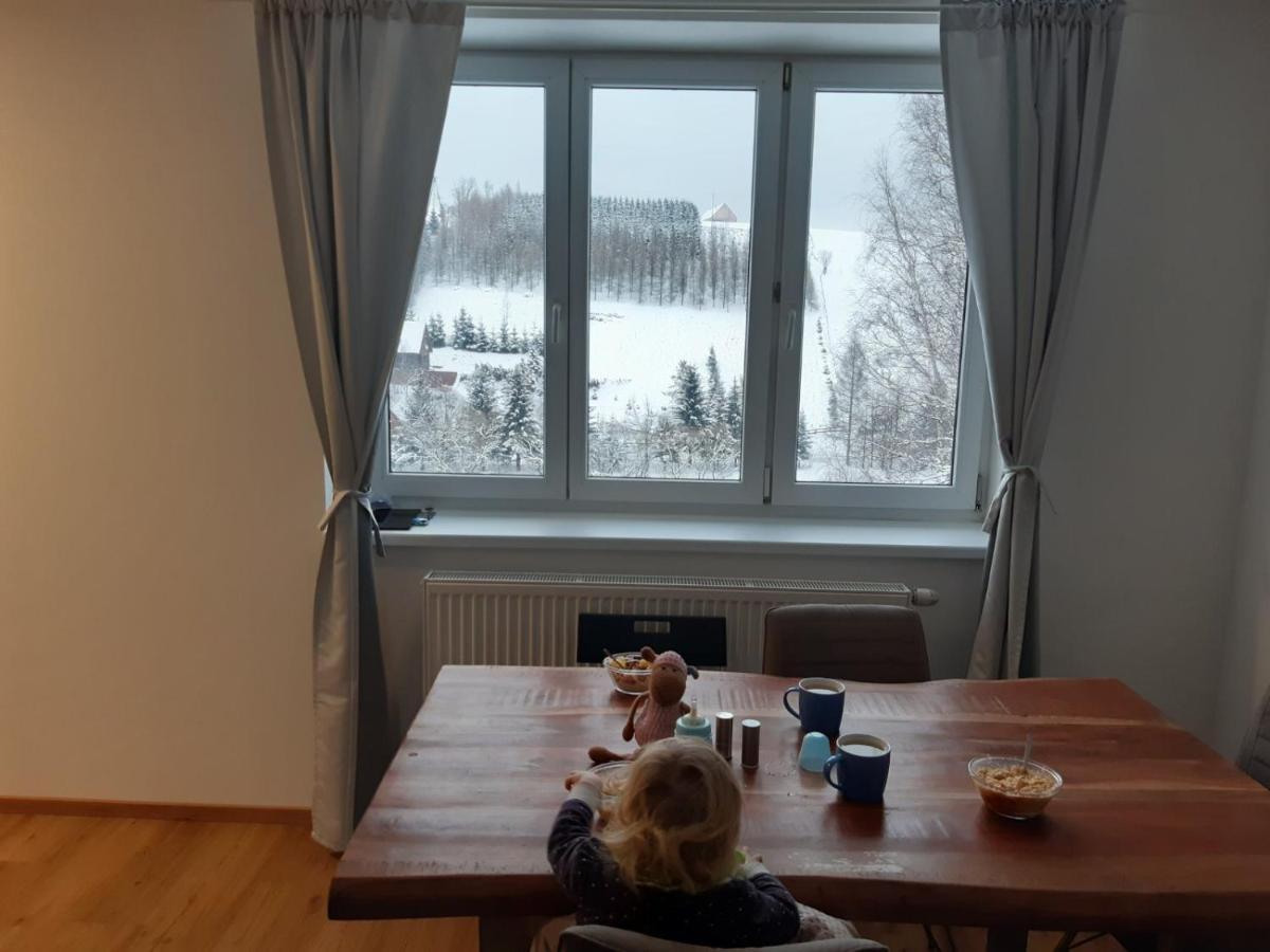 Apartman U Kunstatskeho Mlyna Orlicke Zahori المظهر الخارجي الصورة