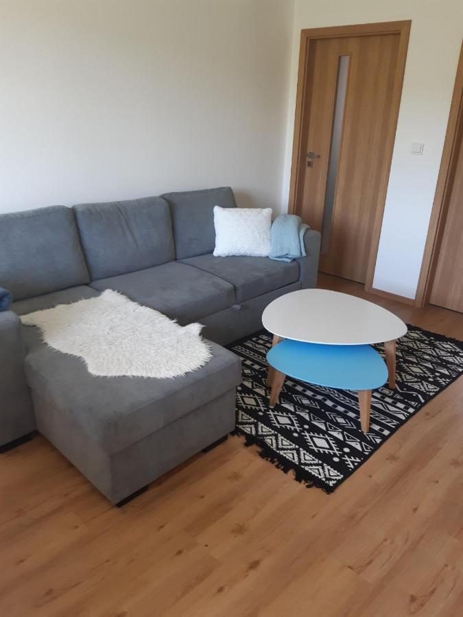 Apartman U Kunstatskeho Mlyna Orlicke Zahori المظهر الخارجي الصورة