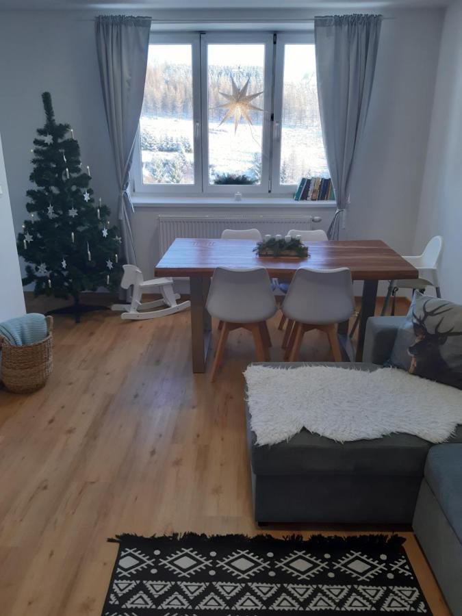 Apartman U Kunstatskeho Mlyna Orlicke Zahori المظهر الخارجي الصورة