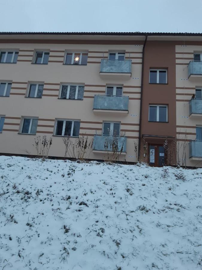 Apartman U Kunstatskeho Mlyna Orlicke Zahori المظهر الخارجي الصورة